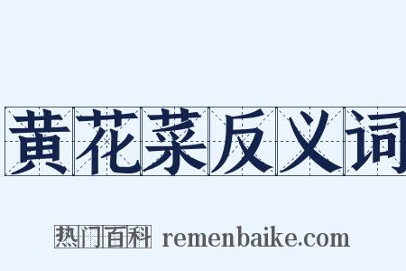 黄花菜反义词是什么意思的图片